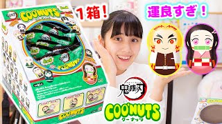 鬼滅の刃クーナッツを1箱開封！引きが良すぎる？！可愛すぎる！【鬼滅の刃】