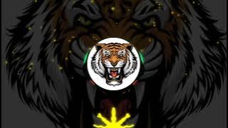 Sawari Dhun &Tiger Dhun (Chhattisgarh Bass Party ) Dj Chandan Raipur 2022 #djremix #dj