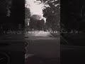تعليق حزين انا عندما اطلقت اهاتي تعليق حزين انا عندما اطلقت اهاتي