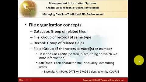Foundations of Business Intelligence Databases and Information Management chapter 6 -part1