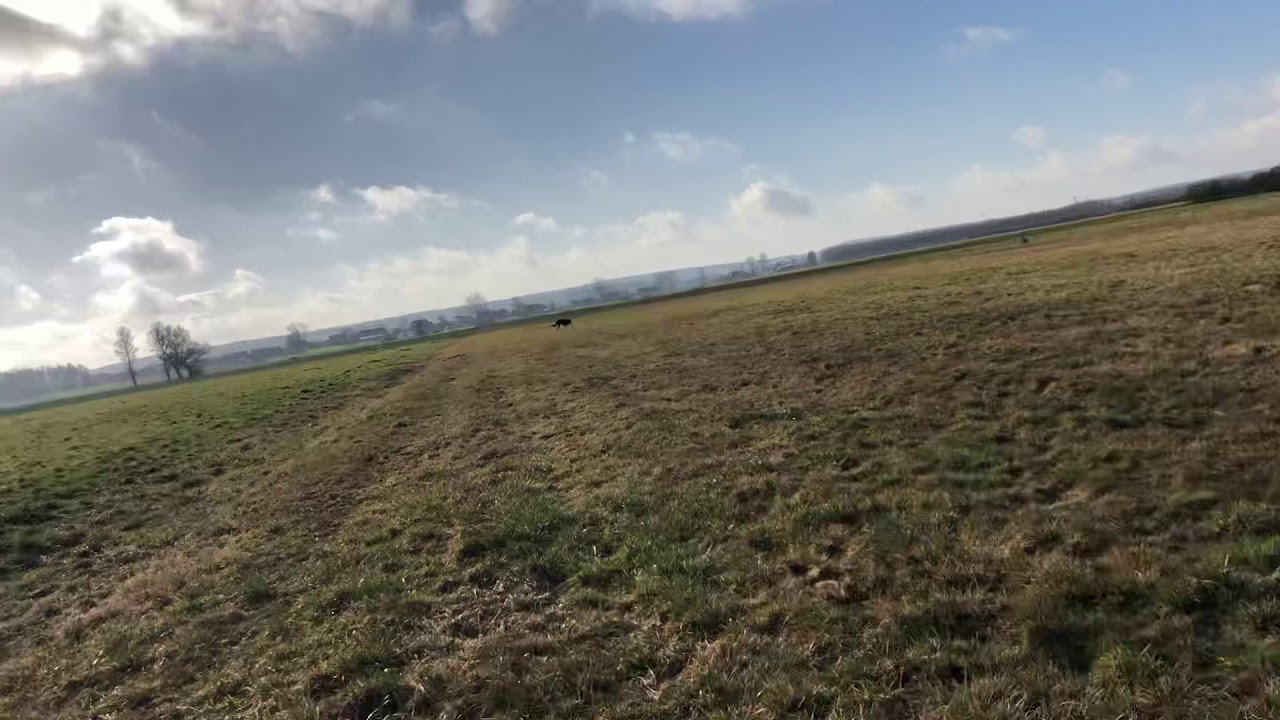 Ich will nicht unfair sein, oder was ist eigentlich Inhalt unseres Gesprächs