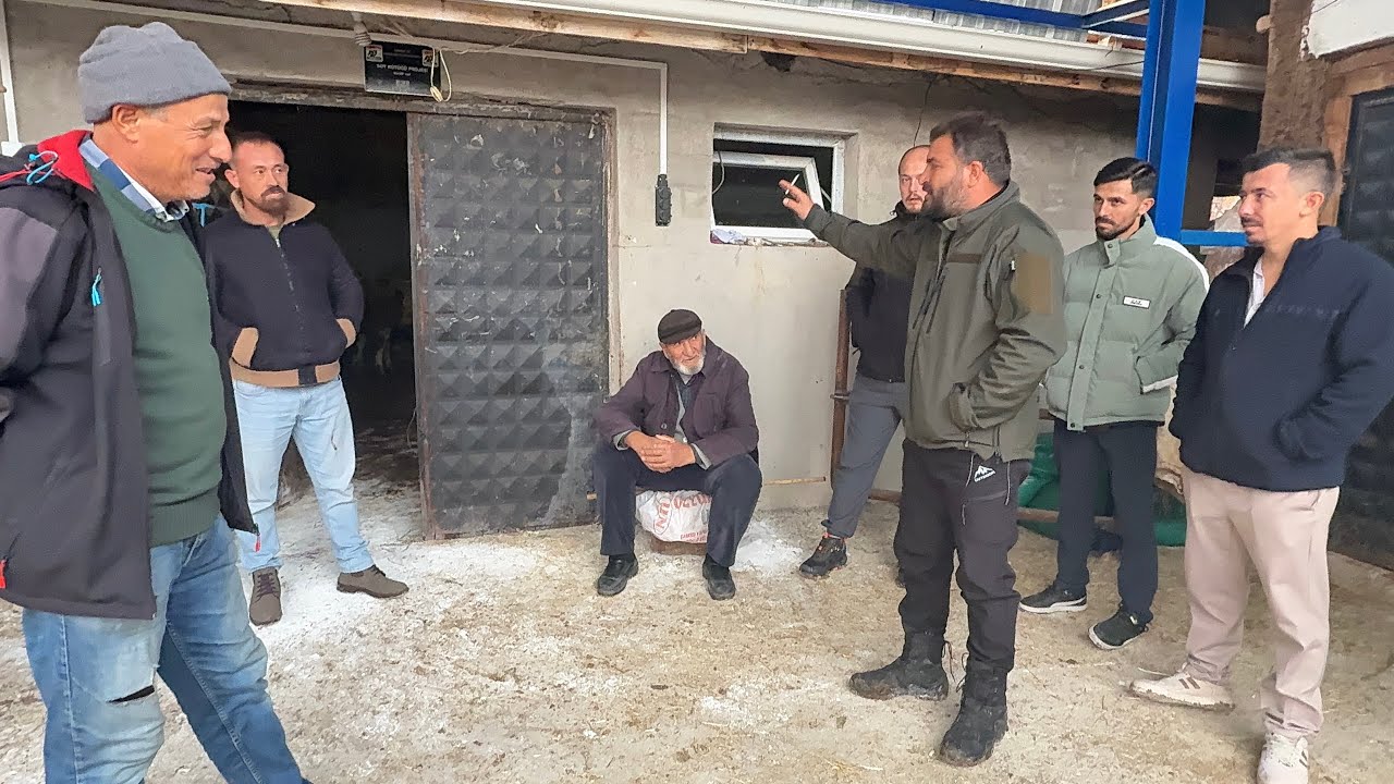 GELEN ZİYARETÇİLERİ HAYVAN ALMAYA GÖTÜRDÜM 