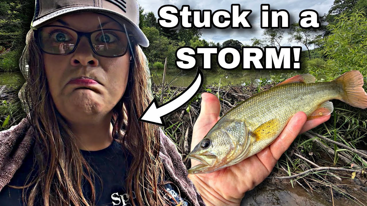 Bass Fishing, Beaver Dams, & BIG RAIN!