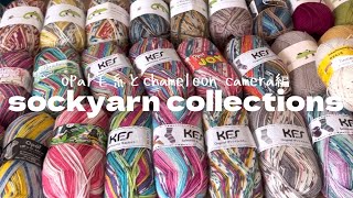 sock yarn在庫【opal毛糸とカメレオンカメラ他】