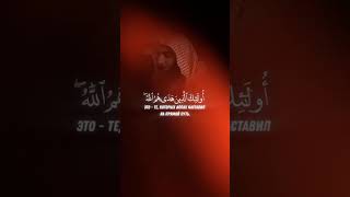 Чтец: Мухаммад Аль Люхайдан красивоечтение | Сура 39 Аз-Зумар (Толпы) Аят17-19