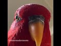مادرجنده بچه بسیجی مادرجنده بچه بسیجی