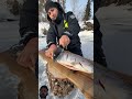 We caught fish from under the ice and cooked it right there on the spot, then tasted it.#Shorts #fyp