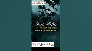 📖 «تلاوة هادئة من القرآن الكريم تملأ قلبك سكينة»