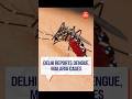 Is Delhi Ready? 162 Dengue Cases Reported as Monsoon Raises Mosquito Threat