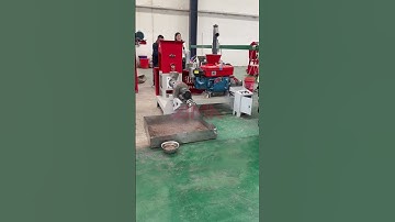 Diesel type floating fish feed machine test #fishfeedextruder #extruder #feedmachinery #machine