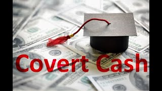 How do US universities fund their lavish campuses? - Covert Cash