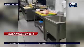 Бақылау тобы етіп кіріп келгенде, тырп ете алмай қалды Бақылау тобы етіп кіріп келгенде, тырп ете алмай қалды