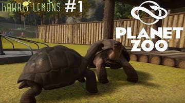 I LIKE TURTLES | Planet Zoo #1