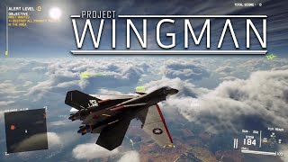 لعبة الطائرات الحربية شبه الواقعية | Project Wingman screenshot 3