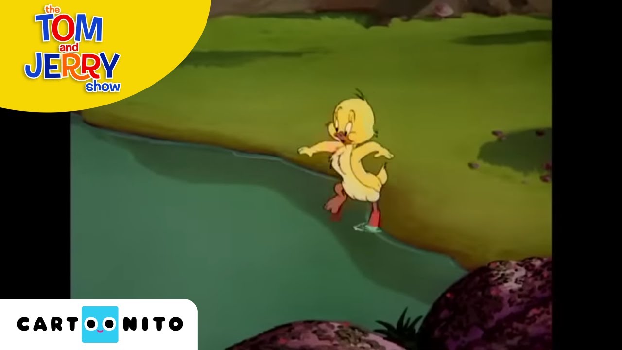 Tom ve Jerry | Silahşörler | Cartoonito Türkiye