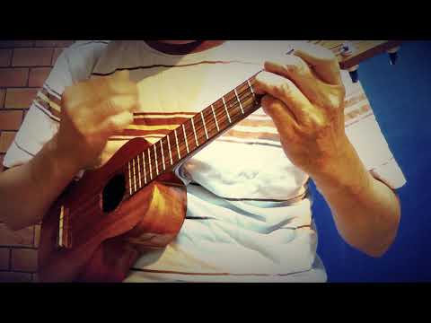 さらば恋人 ／ 堺 正章（ukulele) ウクレレソロ
