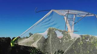 Four Winds Vineyard Cellar Door