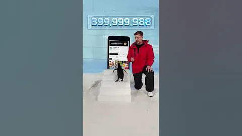 Can i teach a penguin 🐧 to subscribe😻 #youtubeshorts ‎⁨@MrBeast⁩ 