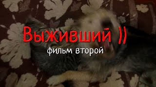 Выживший. Фильм второй