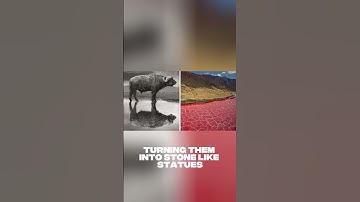 Science Secrets THEY Don’t Want YOUto Know! FINAL PART #amazingfacts #coolfacts #didyouknow