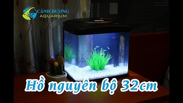 Hồ mini nguyen bộ 32x20x30 cm | Hồ Cá Cảnh Dương
