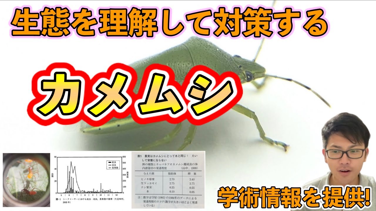 【害虫シリーズ】対策7つ!カメムシの生態を徹底的に理解して防除する! - YouTube