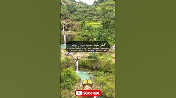 أروع تلاوات القرآن الكريم