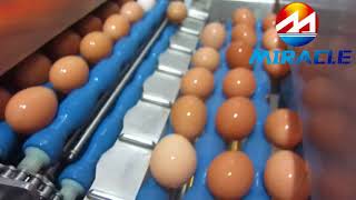 Egg breaking machine, whole egg liquid processing line