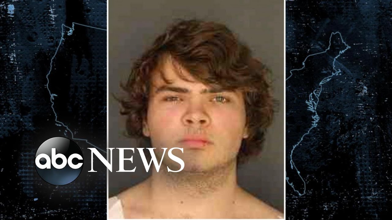 Families of Buffalo shooting victims react to suspect who pleads guilty l ABCNL