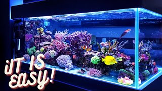 How To Get Crystal Clear Water In Your Fish tank!