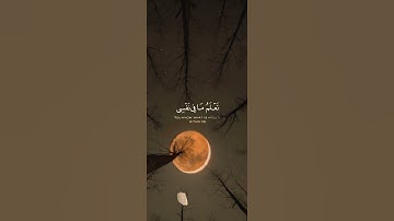 سورة المائدة القارئ #ياسر_الدوسري  #فلسطين#السعودية#المغرب#مصر#الجزائر#تونس