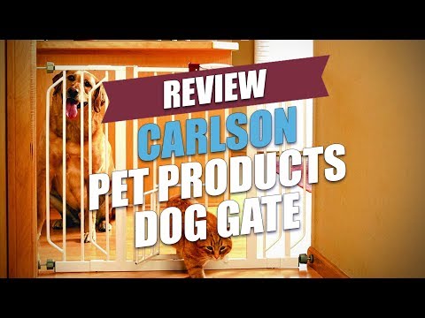 carlson-pet-products-dog-gate-review-(2018)