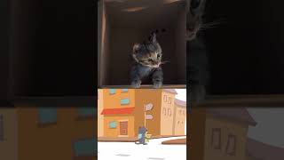 Animated Little Kitten Cute Kitten Cat Adventure  #cartoonvideo #cartoonsforkids