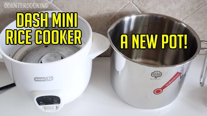 Dash Mini Rice Cooker Instructions: Learn How to Use DRCM200