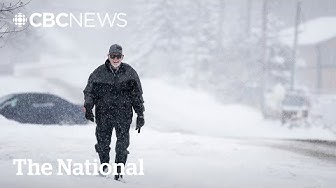 Thumbnail for New weather alerts feature colour-coding, tiered risk levels