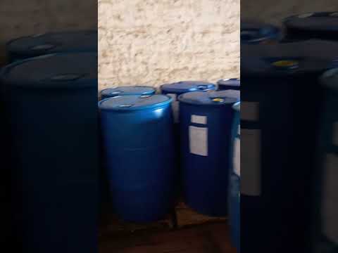 Organic Neem oil ready for export