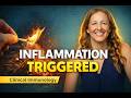 The Hidden Roles of the Immune System | Why Inflammation Happens; Episode 2