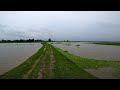       flood in village bd shomachar