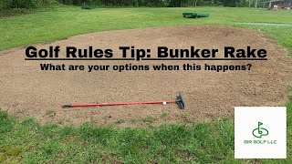 Celebrity Golf Rules Tip:  Bunker Rake Profile