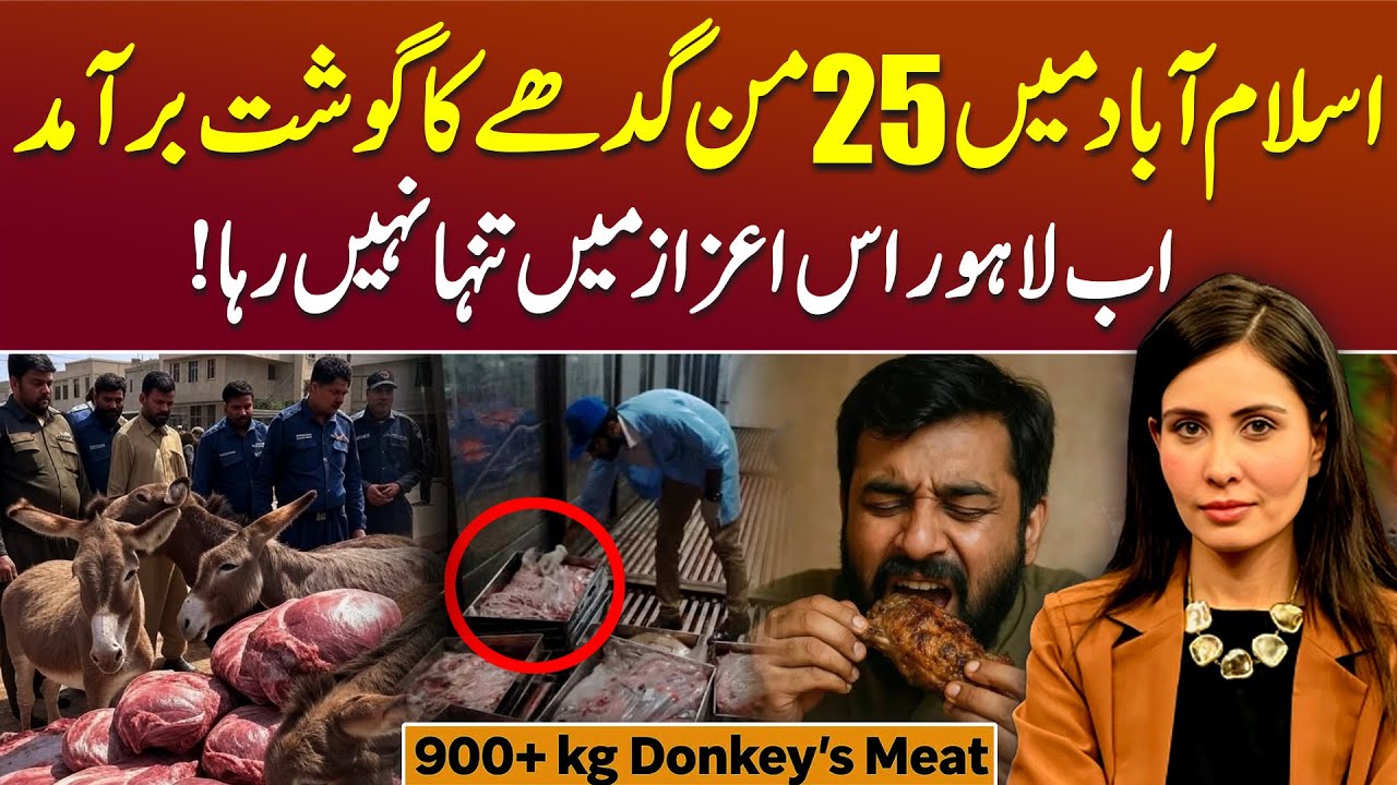Shocking Truth About Donkey Meat in Islamabad - Podcast with Sana Naqvi