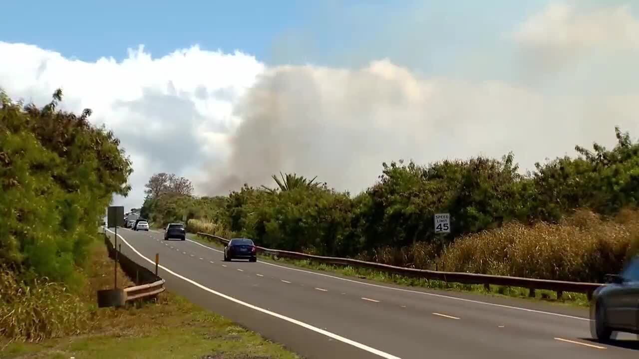 76-year-old man arrested in connection with Haleiwa brush fire - YouTube