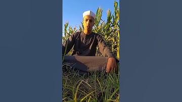 ما تيسّر من سورة ص