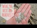 Nurdles On The Shoreline: Impact, Cleanup, And Creative Solutions