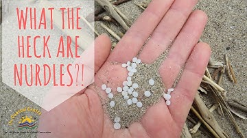 Microplastics (Nurdles) on Beaches!