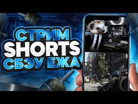 Видео: #shorts Стрим СБЭУ Ёжика