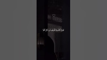 سورة الزمر 💙#حالات_واتس #حالات_واتساب #حالات_دينية #قرآن #حالات