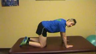 Fire Hydrant - Dynamic Bracing & Physical Therapy, Inc.