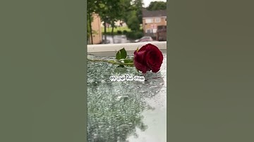 الشيخ احمد العجمي     سوره الضحي