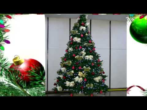 Apresentação de Natal do CACHO Coral Amador do Club Homs.