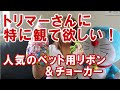 ペット用リボンとチョーカーのご紹介☆トリミング　ペットサロン様用　業務用品